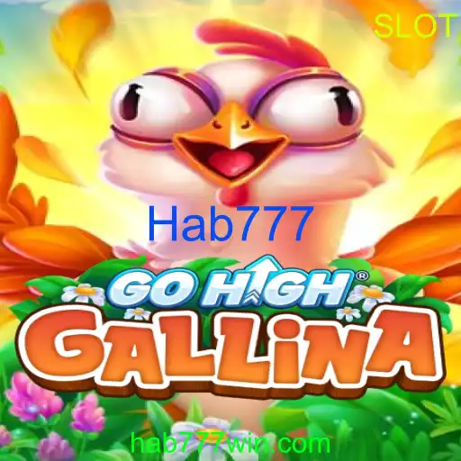 GoHighGallina - Hab777